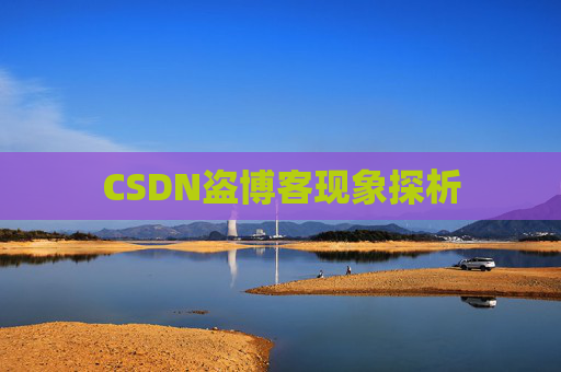 CSDN盗博客现象探析